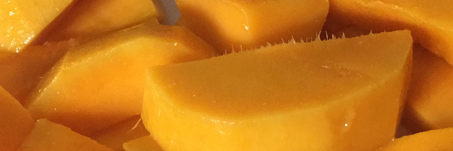 elisapablos's profile banner image