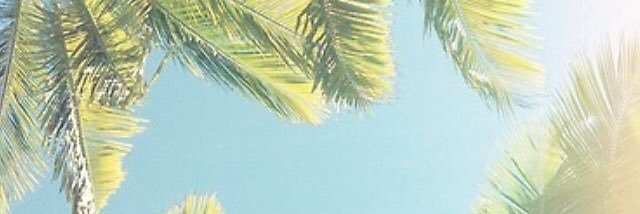R_N_M__'s profile banner image