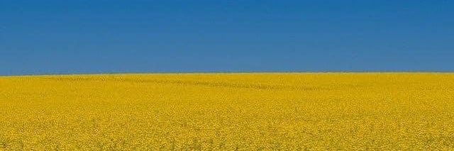 rickeybevington's profile banner image