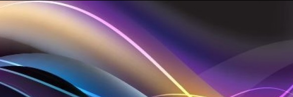 Insightbizdev's profile banner image
