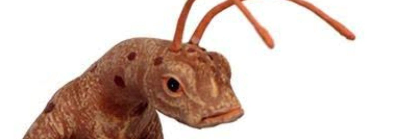 Thwiago's profile banner image