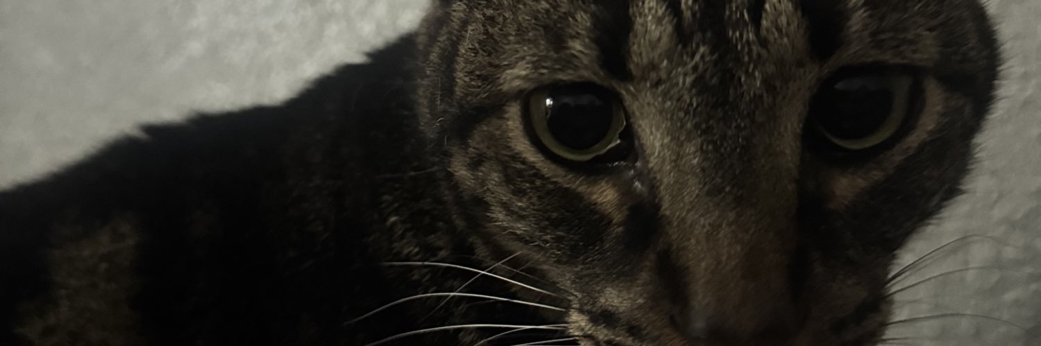 thatsabadwordd's profile banner image