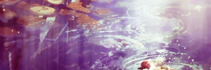 abipi5's profile banner image