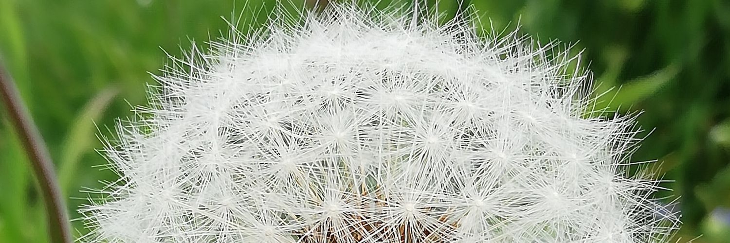 BluteauM's profile banner image