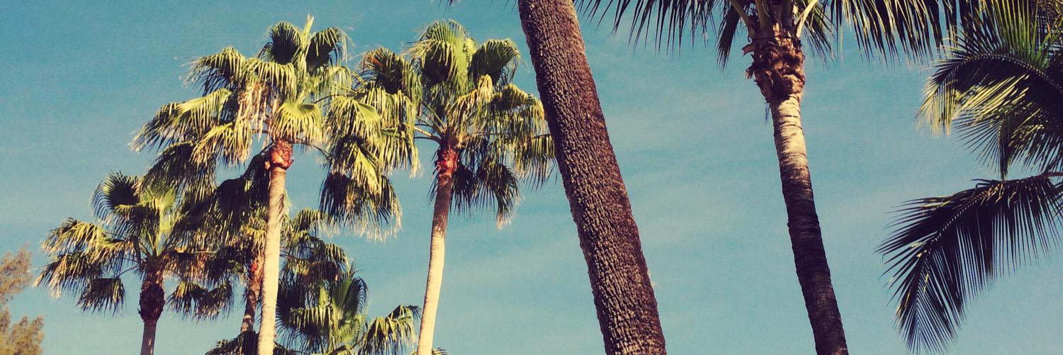 nikkihel's profile banner image