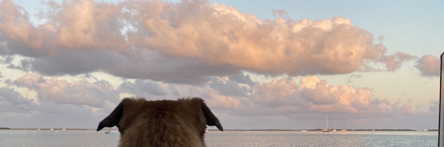 HeilandJesse's profile banner image