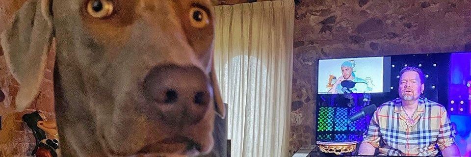 urrtassinnalk's profile banner image