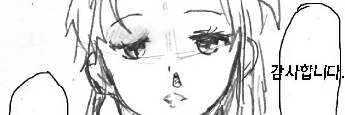 Elyse banner