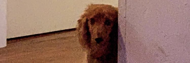 mattsbeenjammin's profile banner image