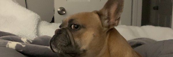 NNavigatee Profile Banner
