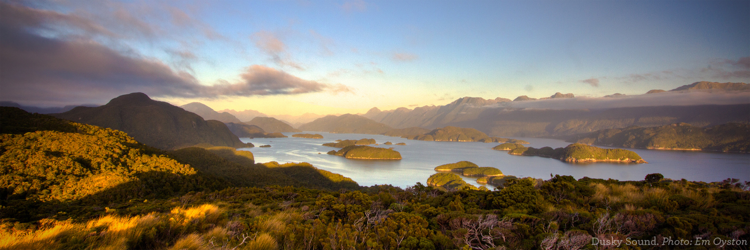 Sirocco Kākāpō banner