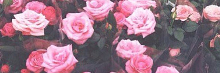 l_sbe0a's profile banner image