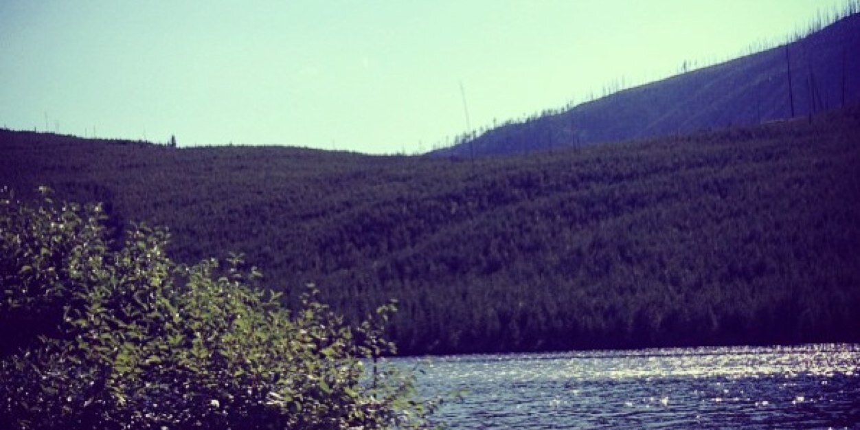 Northern_Babe's profile banner image