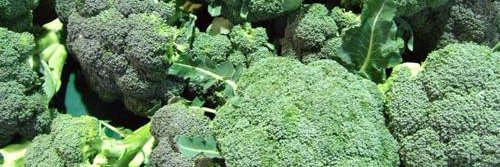 CarolineBrocoli's profile banner image