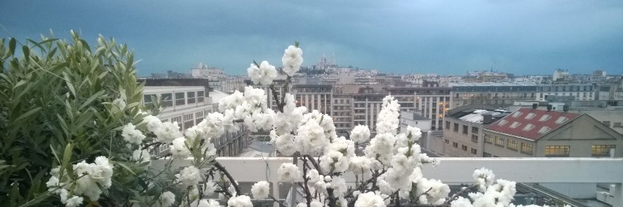 Ute MEYENBERG Cfdt cadres banner
