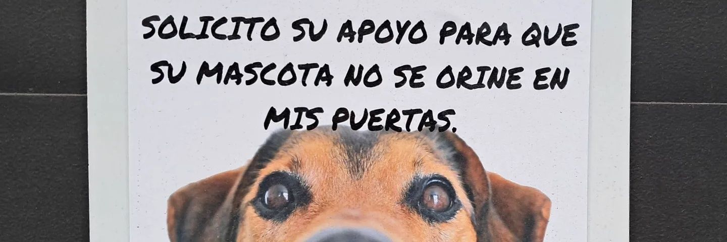 🚇👣 Susa banner