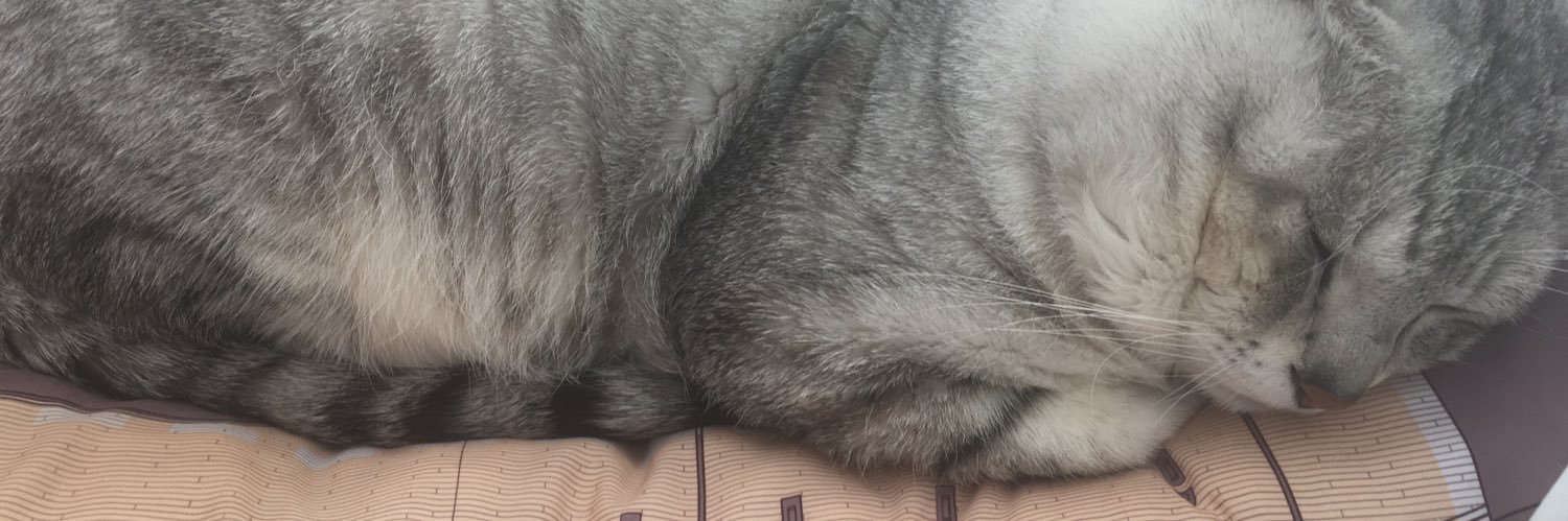 🖤🐾ソウ banner