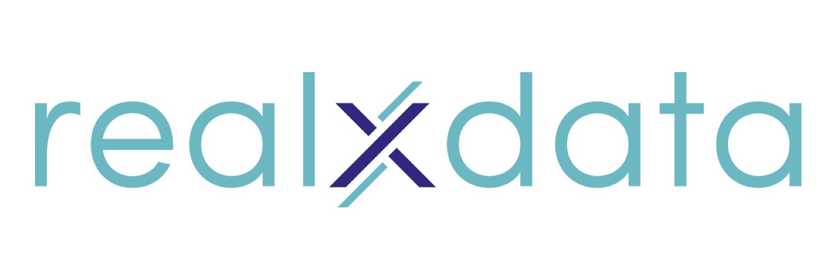 realxdata banner
