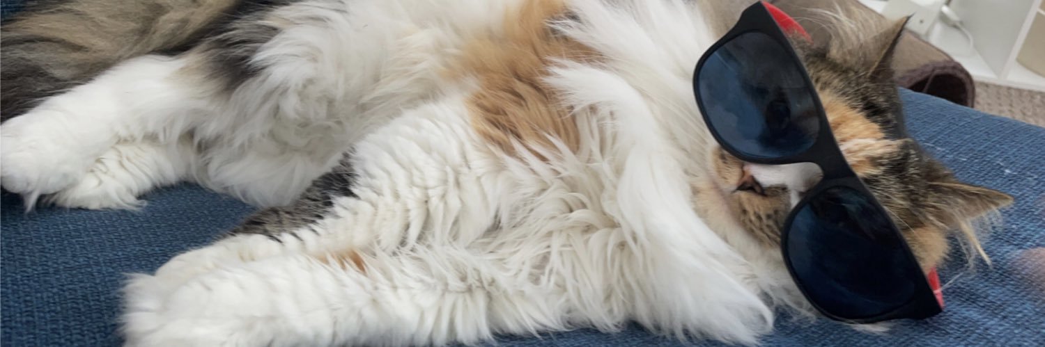 PerksOfBeingJLP's profile banner image