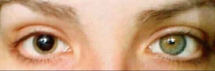 𝕍𝕀𝕋ℝ𝕆𝕃𝔸 𝕃𝕆ℂ𝔸 💙💜💙 banner