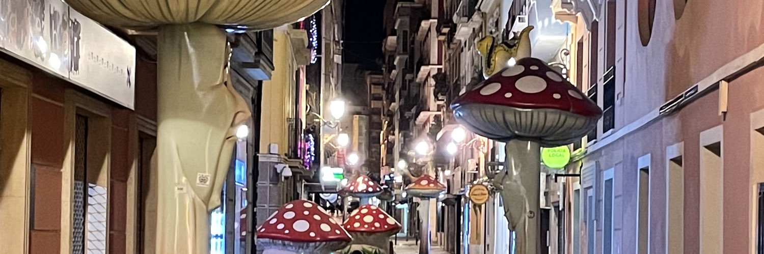 becadestefano's profile banner image