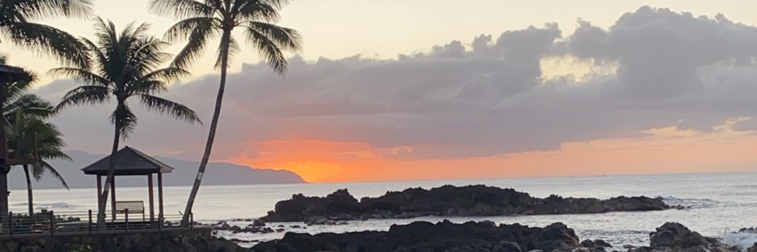 _Lannette_'s profile banner image