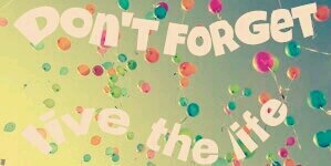 Camy banner