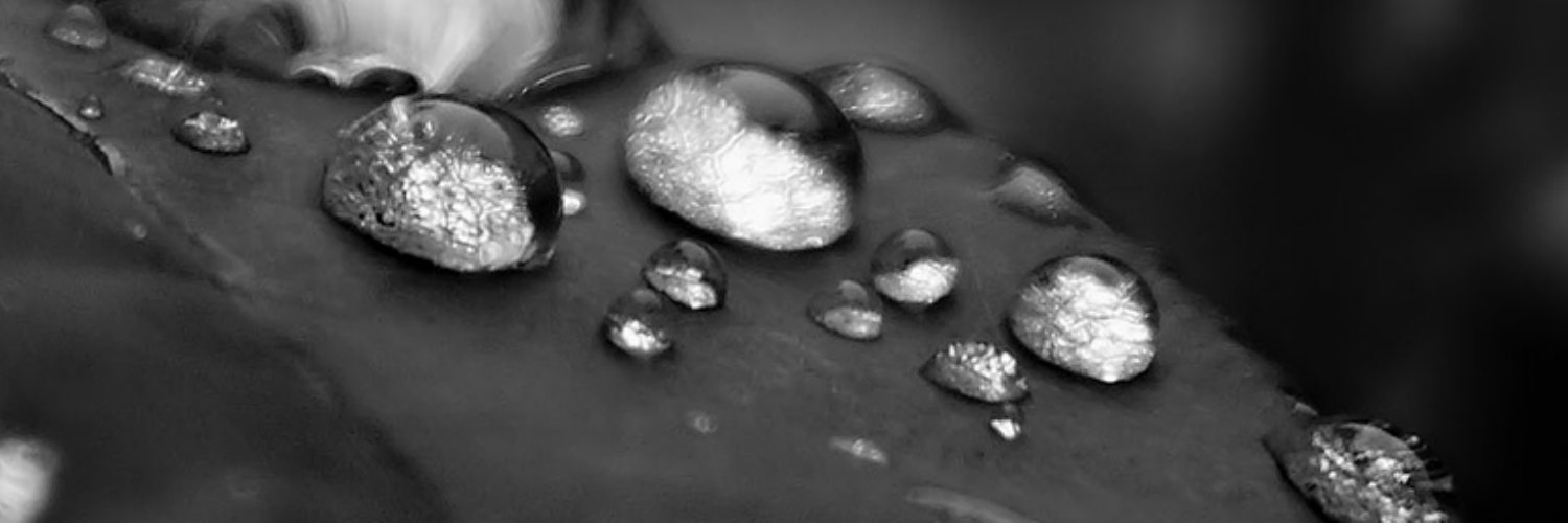 vilinnz's profile banner image