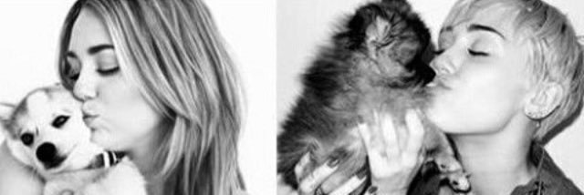 Smiler0forever's profile banner image