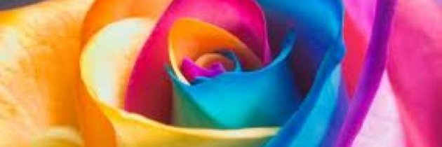 Castita20's profile banner image