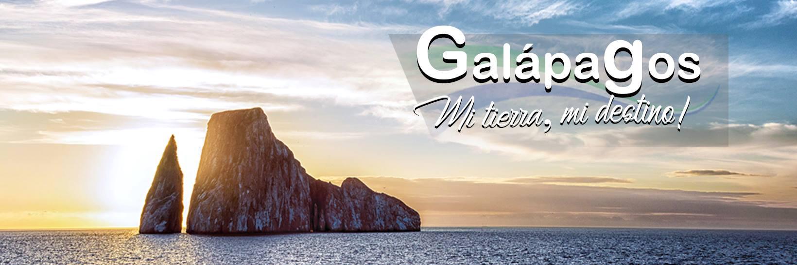 BrendaPorGalápagos banner