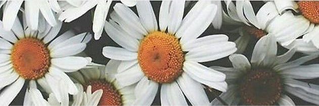 _rjwheeler's profile banner image