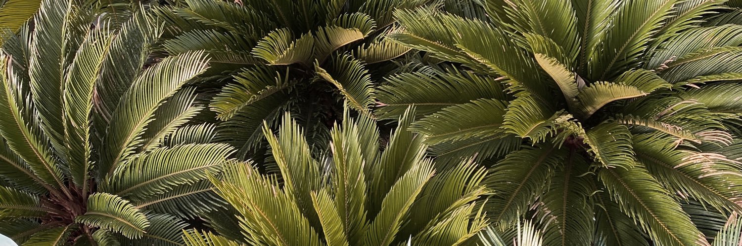 vonrosenthall's profile banner image