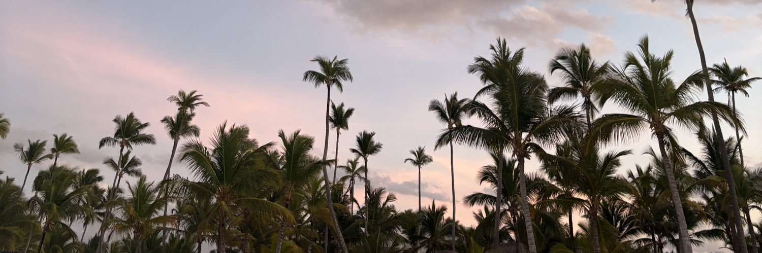 annabellamas's profile banner image
