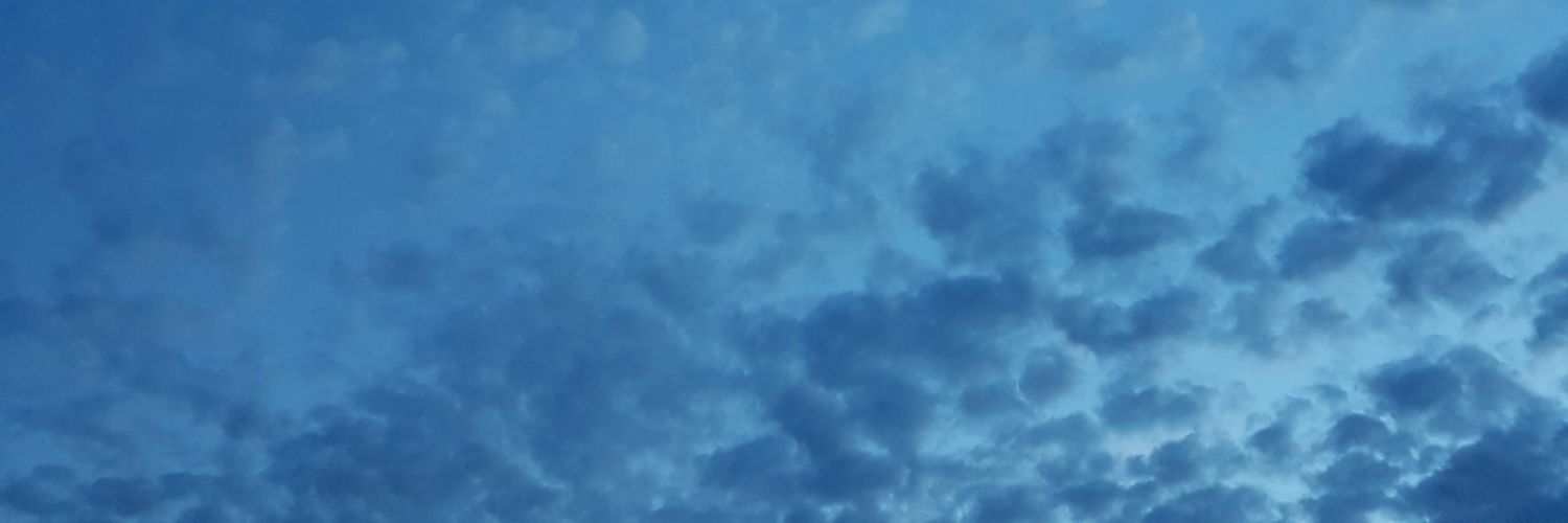 Lasse Løvik banner