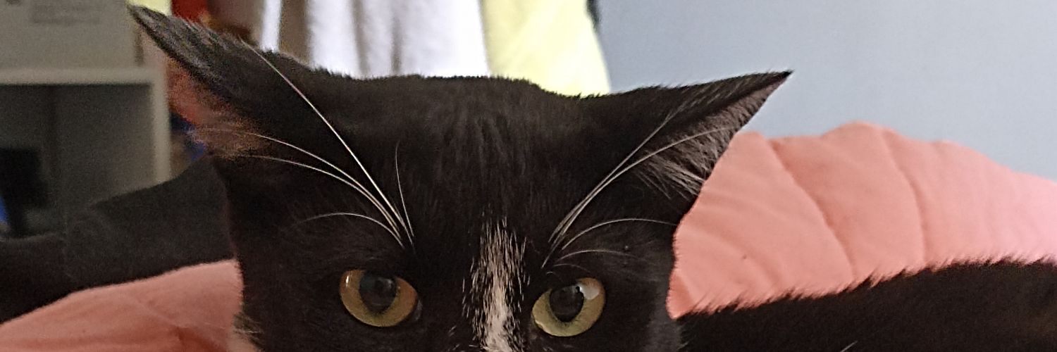 buzz2909's profile banner image