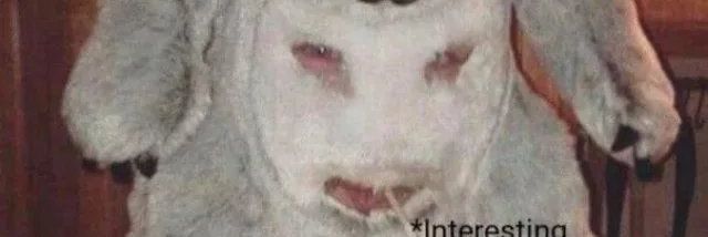 Dwiky yang itu banner