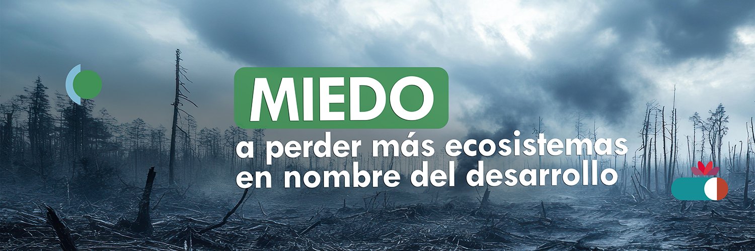 CEMDA's profile banner image