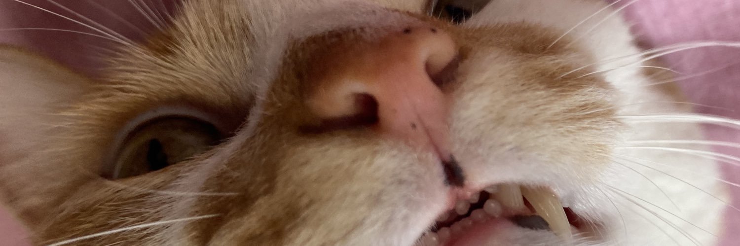 mosterlamaster's profile banner image