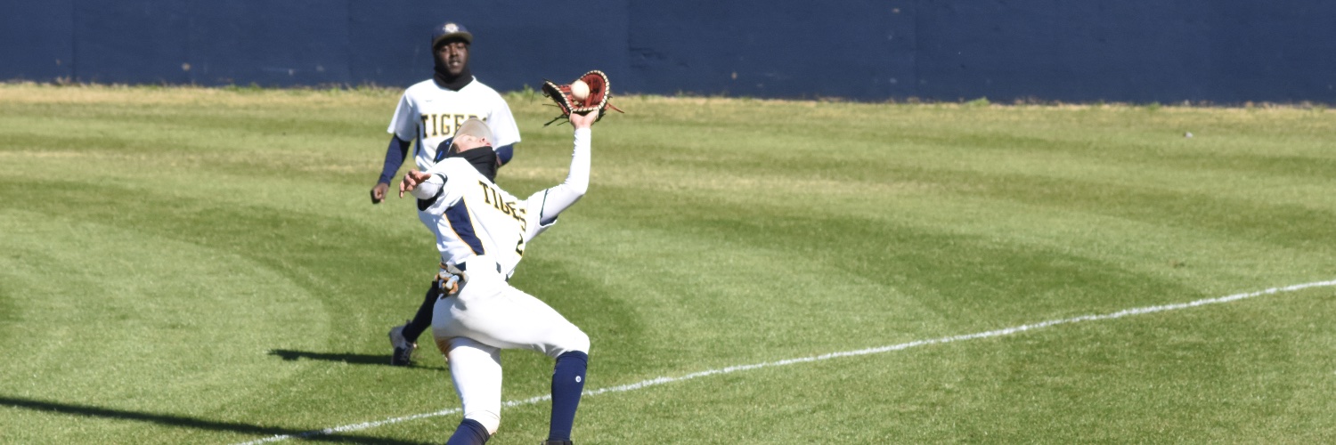 Trevor Gruszka banner