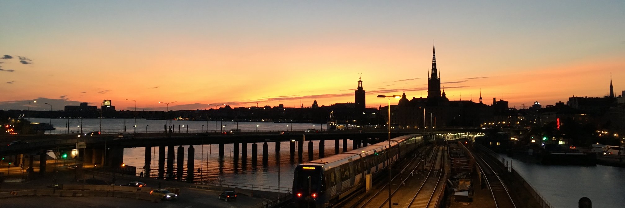 Daniel Herzog banner