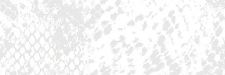xoxxtarynn's profile banner image
