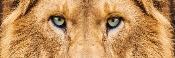 mcsherry_jerry's profile banner image