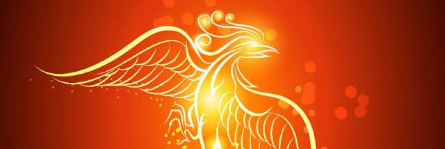 Fcobela's profile banner image