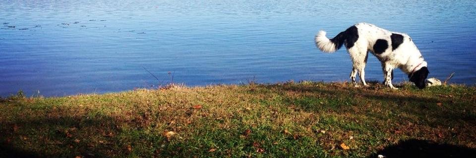 MsPierson88's profile banner image
