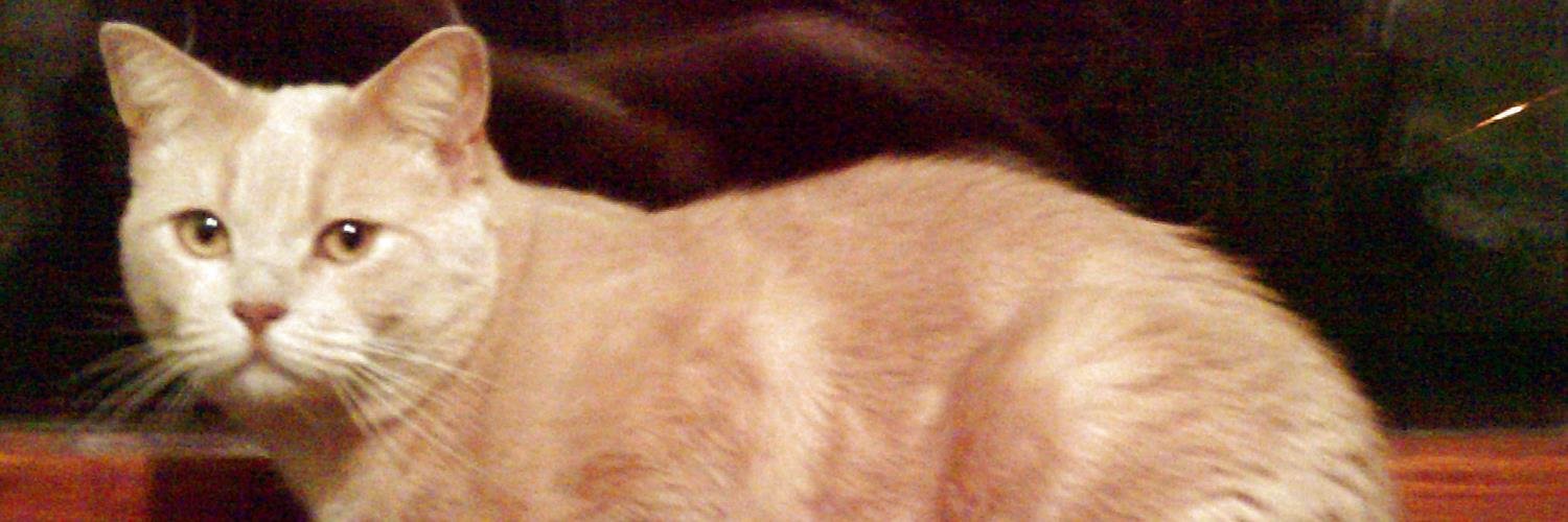 glescagran's profile banner image