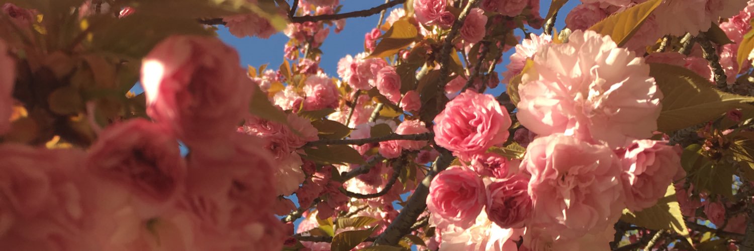 Jess 🇭🇹💋 banner