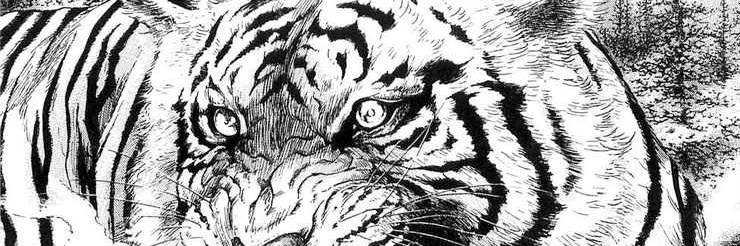 catuga_'s profile banner image