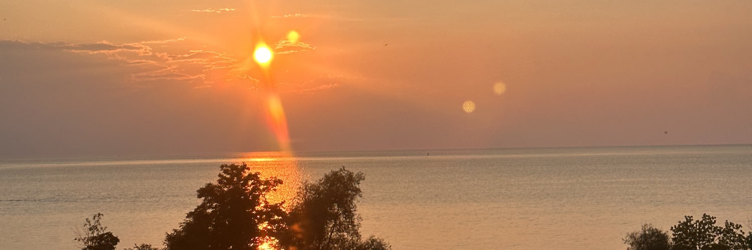 PaulaWalles's profile banner image