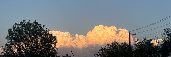 sanchez_abbii Profile Banner